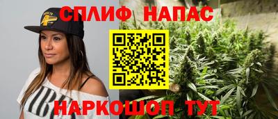 гидра Малоярославец