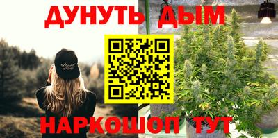стаф Моздок