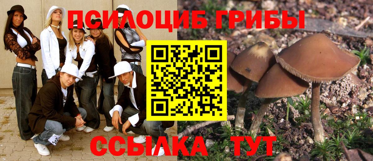Шали  Галлюциногенные грибы MAGIC MUSHROOMS  Вход с VPN 